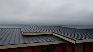 Best Roof Ventilation Installation  in West Rancho Dominguez, CA